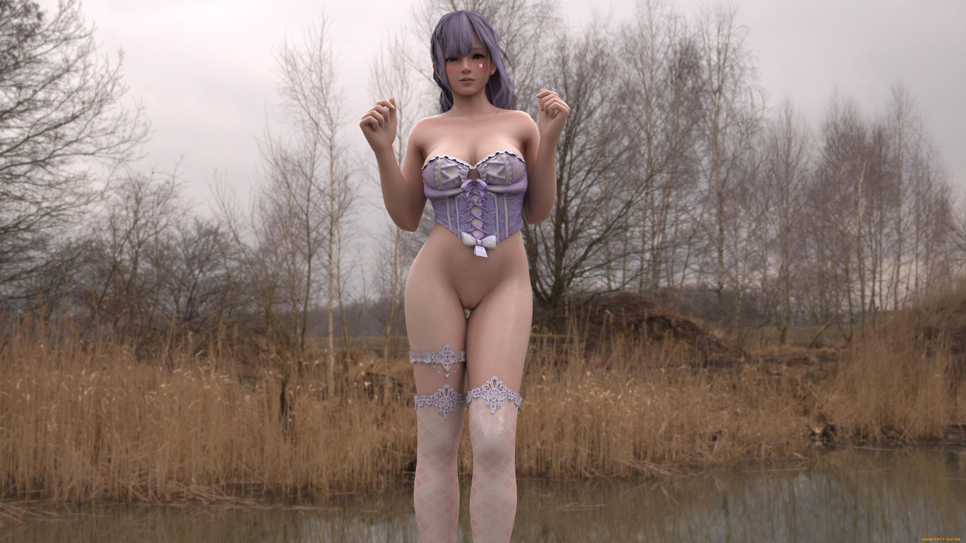 ���-�������, 3�-�������, �������, �����, ���, ������